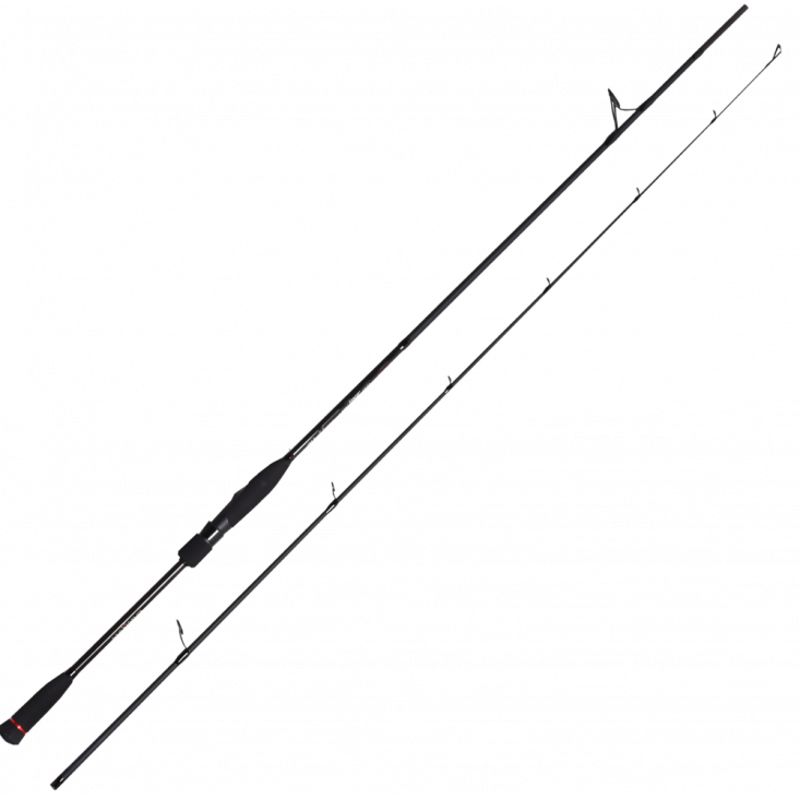 Maximus Workhorse V4